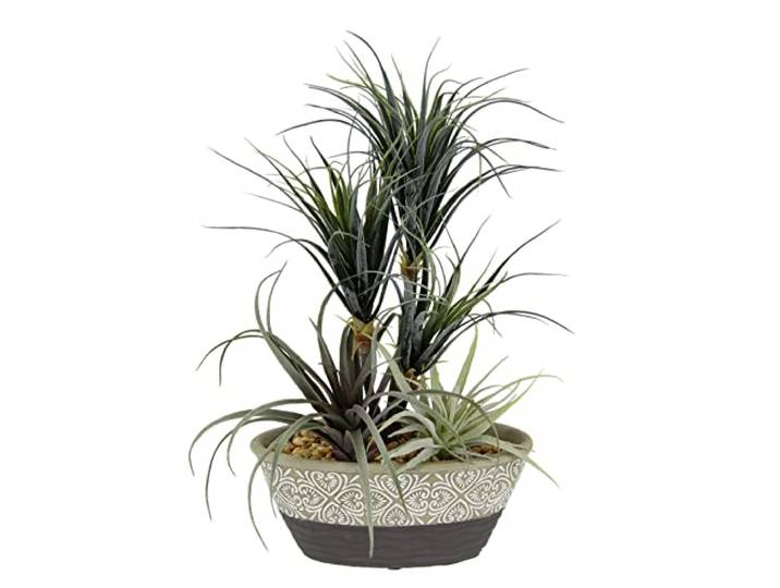Kunstpflanze Dracena/Tillandsia im Topf Künstliche Gefälschte Blume Pflanze Grünpflanze Kunstblume Kunstgras Luftpflanze Kakteen Zimmerpflanze Sukkulente Aloe Vera Agave Yucca Sanseveria Kalanchoe