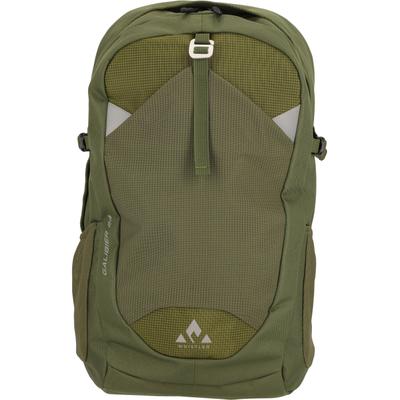 Sportrucksack WHISTLER "Galibier", grün, Rucksäcke, B/H/T: 30cm, Lederimitat, mit einem Fassungsvermögen von 24 Litern, B:30cm