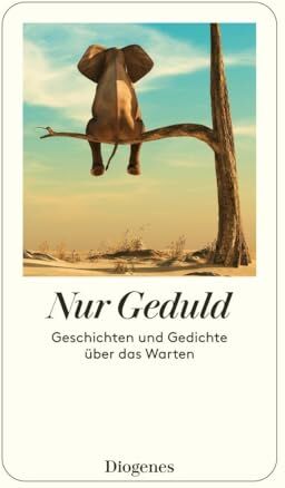 Martha Schoknecht - Nur Geduld: Geschichten und Gedichte über das Warten (detebe) - Preis vom 12.10.2026 11:37:12 h