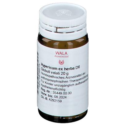 Hypericum EX Herba D 6 Globuli 20 g