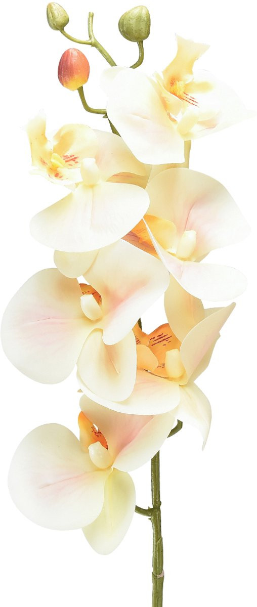 Kunst Orchidee Phalaenopsis Creme Oranje 78 cm
