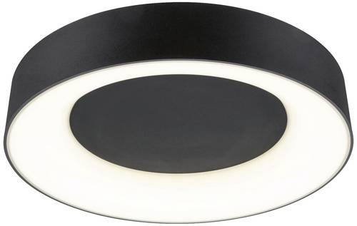 Paulmann 71097 Casca LED-Deckenleuchte LED 23W Schwarz (matt)