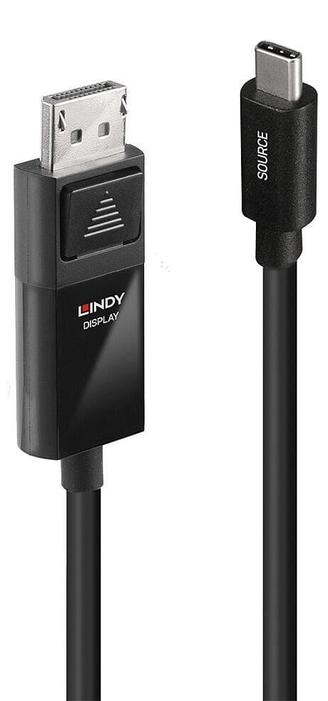 Lindy 43341 USB-C naar DisplayPort adapterkabel 4K60 met HDR, 1 meter