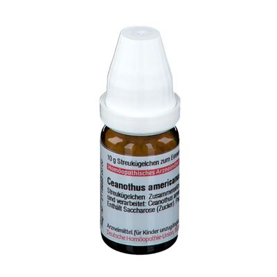 Ceanothus Americanus D 30 Globuli 10 g