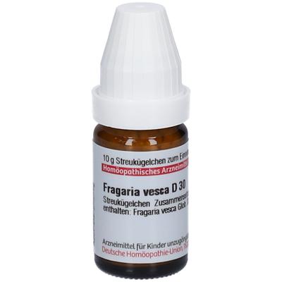 Fragaria Vesca D 30 Globuli 10 g