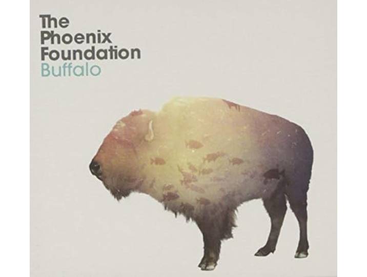 The Phoenix Foundation - Buffalo