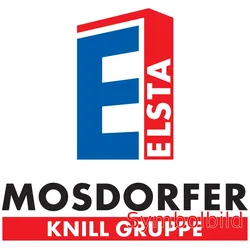 Elsta Mosdorfer SET Heizung 45 W PTC 10051768