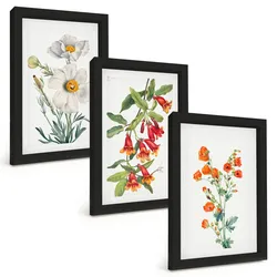 BILDER SET 3er Set - 20x30 cm Schwarzer Rahmen - Retro-Blumenarrangements