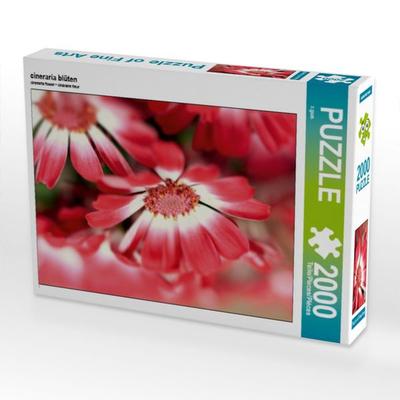 cineraria blüten (Puzzle)