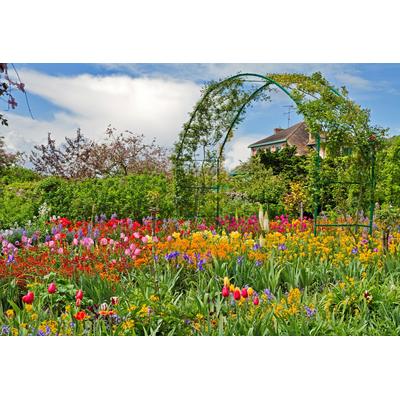 Papermoon "GARTEN MONET-BLUMEN BÄUME PFLANZEN PARK STEINE BLÜTEN"