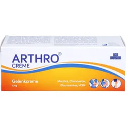 Ice Power Arthro Creme 120 G