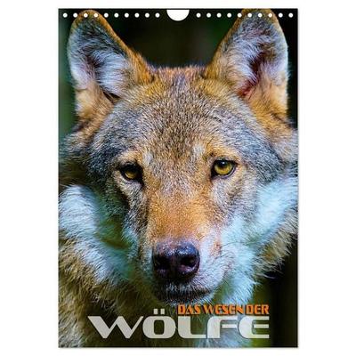 Das Wesen der Wölfe (Wandkalender 2027 DIN A4 hoch), CALVENDO Monatskalender