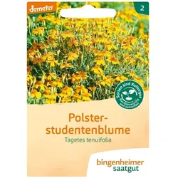 Bingenheimer Saatgut Polsterstudentenblume demeter