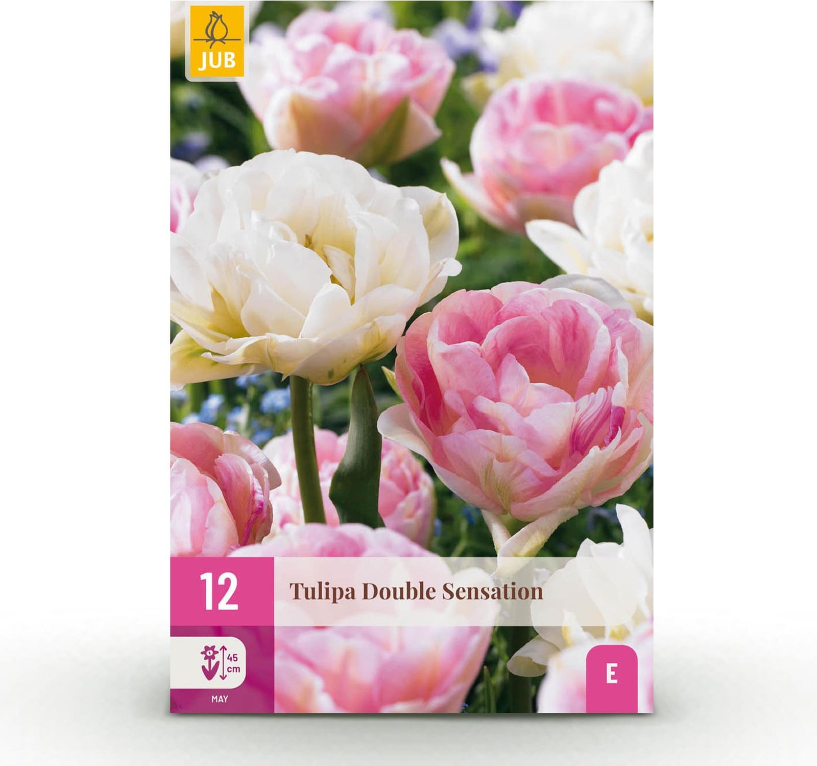 Pflanzenboutique Bloembollen Tulp Double Sensation Wit en Roze 12 stuks
