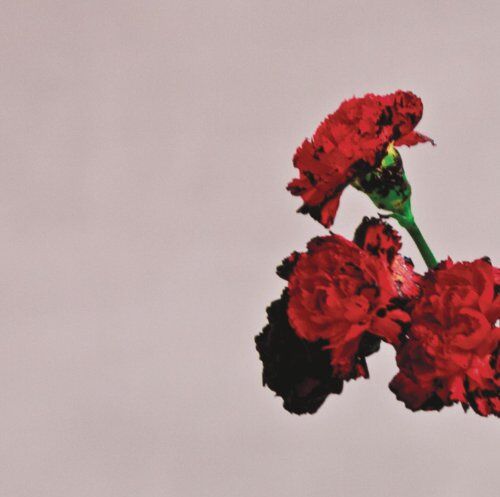 John Legend - Love in the Future - Preis vom 11.10.2026 23:13:37 h