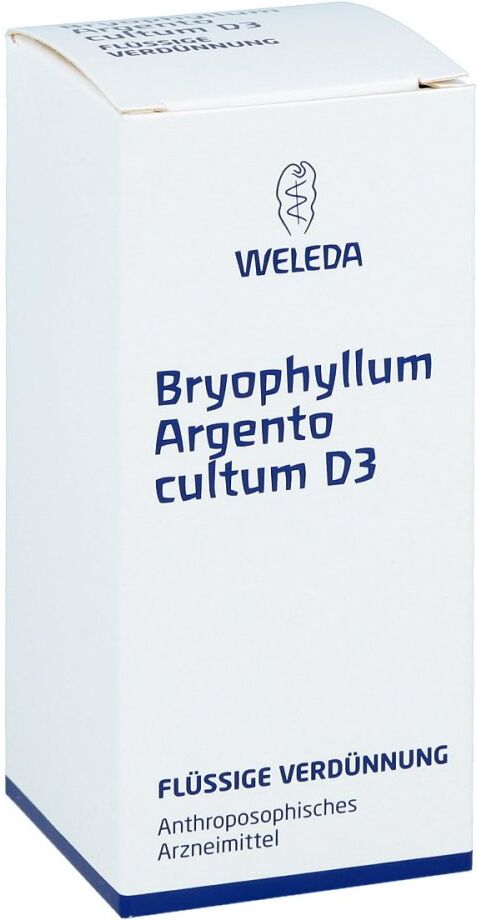 Bryophyllum Argento Cultum Dilution D3