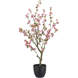 Kirschblütenzweig Kirschblüte Rosa ca. 105cm