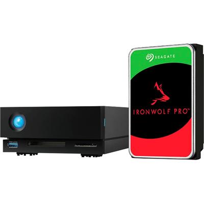 LACIE HDD-NAS-Festplatte "1big Dock", schwarz, 10 TB, Festplatten