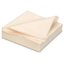 Ava 25 Servietten stoffähnlich 40x40cm Airlaid saugstark Einweg Tischservietten zum Falten Einfarbige Papierservietten für Hochzeit Geburtstag Party