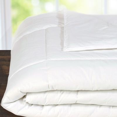 HiEnd Accents Feather & Down Bedspread Insert, 1PC