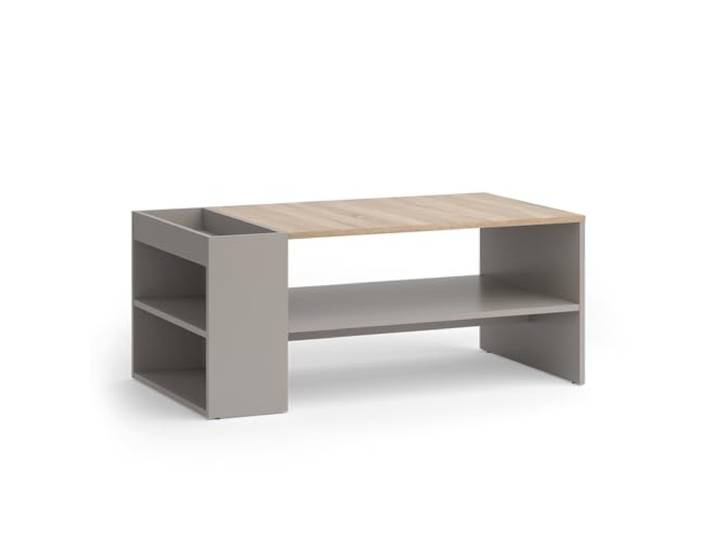 Vicco Couchtisch Wido, Greige, 100 x 55 cm mit Regalen, zur Ablage von Zeitschriften und Fernbedienungen geeignet