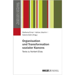 Organisation und Transformation soziale, Fachbücher von Stefanie Ernst, Adrian Jitschin, Valerie Dahl