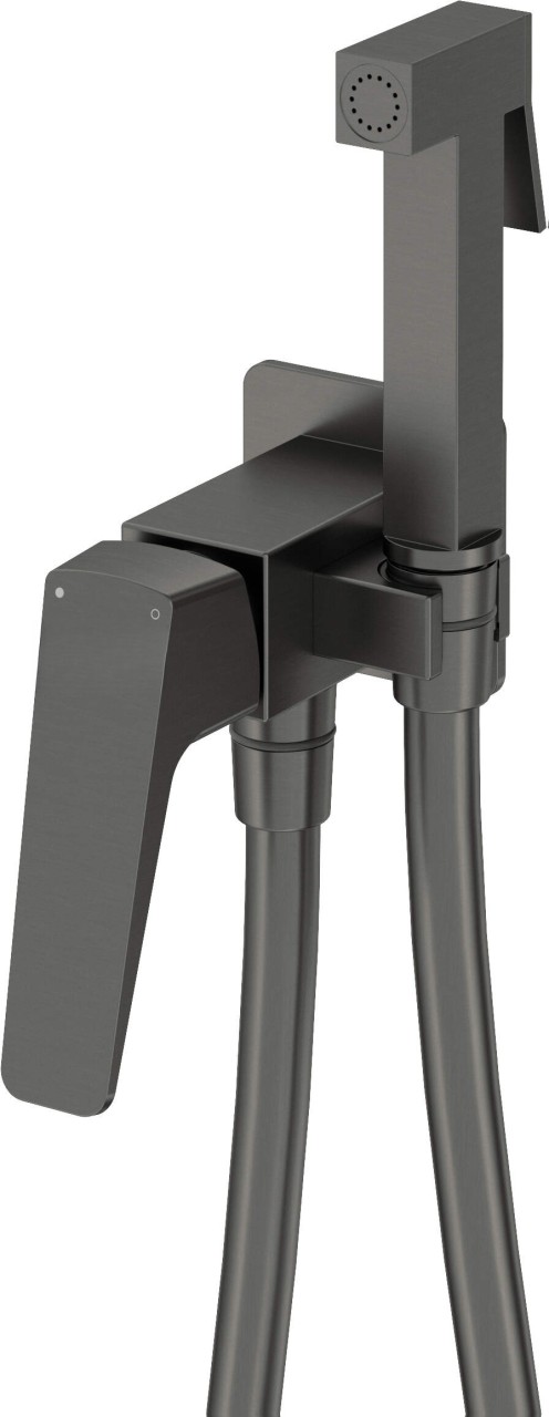 Neuesbad Serie 660 Unterputz-Bidetarmatur mit Bidet-Handbrause, Titan NB1DEBQLD34M1
