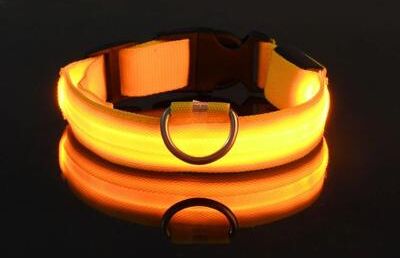 Uplifted Finds Nylon LED Night Safety Glow Dog Leash And Collar xs yellow
