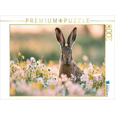 CALVENDO Puzzle Sommerglück auf langen Ohren | 2000 Teile Lege-Größe 90 × 67 cm Foto-Puzzle für glückliche Stunden, von , Calvendo Puzzle