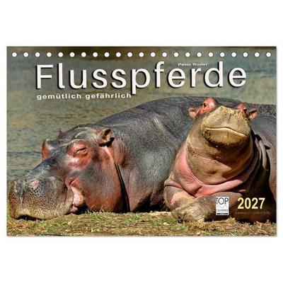Flusspferde - gemütlich gefährlich (Tischkalender 2027 DIN A5 quer), CALVENDO Monatskalender