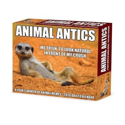 Animal Antics 2026 Box Calendar