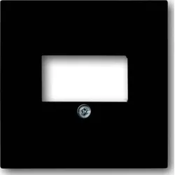 Busch-Jaeger Zentralscheibe schwarz matt für UAE/TAE/LS 1766-885