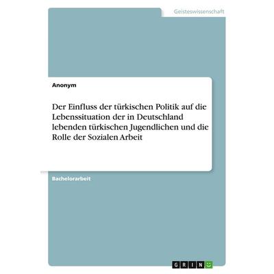Der Einfluss der türkischen Politik auf die Lebenssituation der in Deutschland lebenden türkischen Jugendlichen und die Rolle der Sozialen Arbeit,