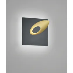 helestra TAIL Wandleuchte IP 54 schwarz - gold #28/2114.28