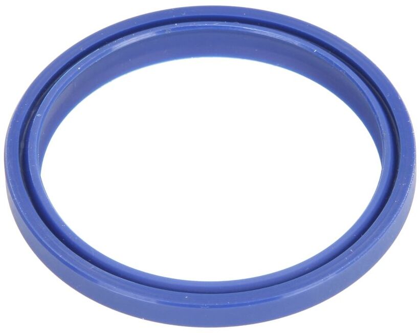 Evert Guarnizione di raccolta per martinetto ZL207105007