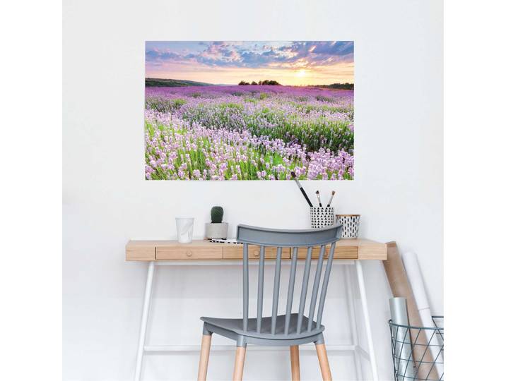 Affiche Champ de lavande Papier Mauve 61 x 92 x 0cm