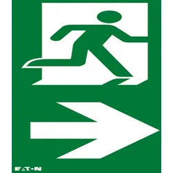 Ceag Notlichtsysteme Piktogramm LUM10586