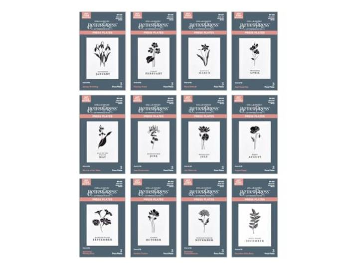 Spellbinders BetterPress Teller Florals Through The Year , Metall, 1 Stück
