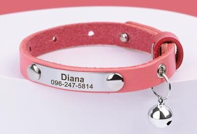 Inspire Select Personalized PU Leather Cat Collar With Free Engraving & Bell Adjustable Anti Lost Pet Collar pink 5.99.1 In