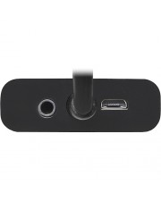 Delock Adapter Displayport male > VGA 15 pin female DisplayPort-Adapter DisplayPort M bis HD-15 stereo mini jack Mikro-USB Typ B nur Strom W 21 cm (65439)