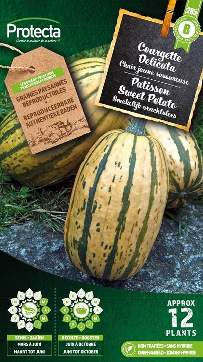 Protecta Groente zaden: Patisson Sweet Potato
