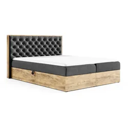 BOXBETT Diona Faro