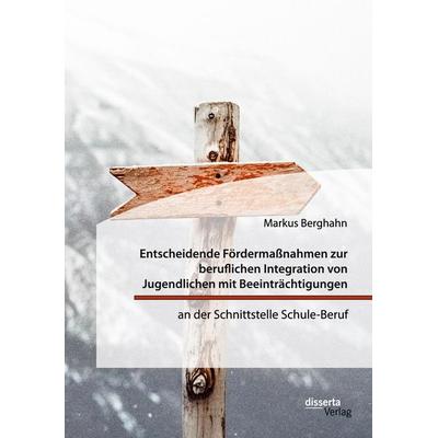 Entscheidende Fördermaßnahmen zur beruflichen Integration von Jugendlichen mit Beeinträchtigungen an der Schnittstelle Schule-Beruf, Taschenbuch von