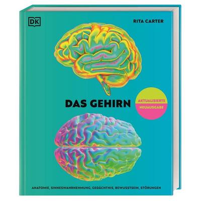 Das Gehirn, Gebundene Ausgabe von Rita Carter, DK Verlag Dorling Kindersley, 978-3-8310-5390-2