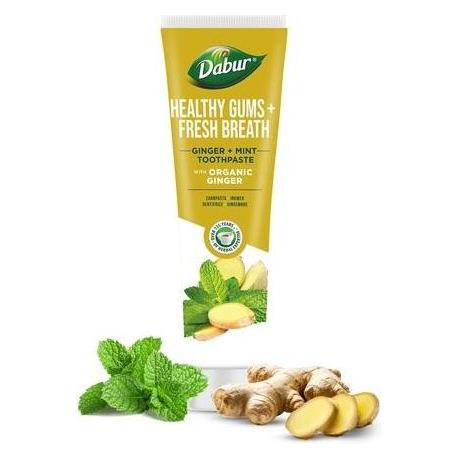 Dabur Organic Ginger & Mint Toothpaste 100ml (100 ml) (57246678)