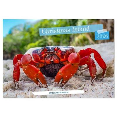 Unterwasserwelt Christmas Island (Wandkalender 2026 DIN A3 quer), CALVENDO Monatskalender