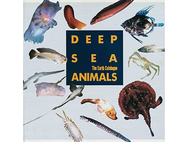 Deep Sea Animals