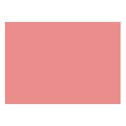 Brunnen Karteikarte DIN A7 quer blanko rot 100 St./Pack. (A7, 180 g/m²) (102270020)