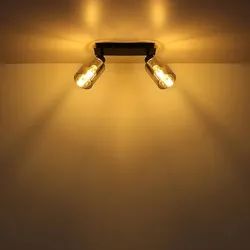 Deckenlampe Spotleuchte Deckenleuchte Esszimmer Glaslampe rauchfarben 2 flammig zum verstellen, Metall, 2x E27 Fassungen, LxBxH 27x9x21,5 cm