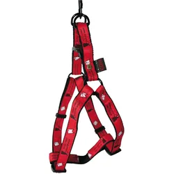 Martin Sellier Marcel (S, Hund, Spazieren), Halsband + Leine